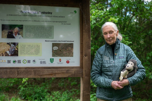 Remembering Jane Goodall