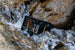 Oukitel RT6 20000mAh refurbished rugged tablet — available in South Africa
